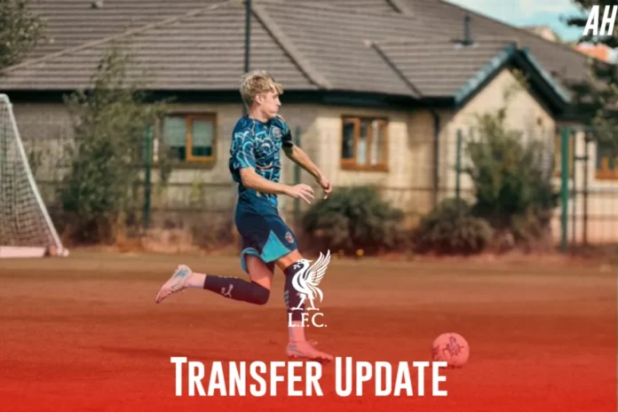 Gabriel Schluter to Liverpool